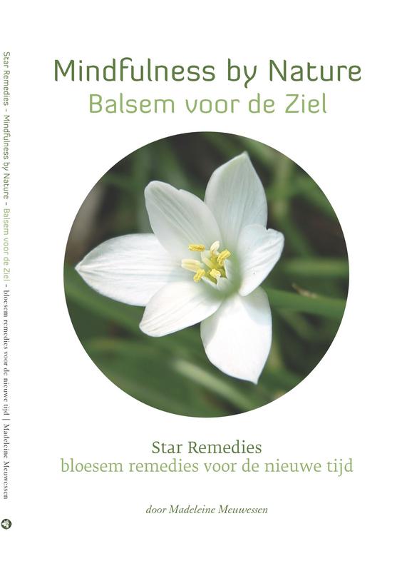 Star Remedies Mindfulness By Nature Balsem Voor De Ziel