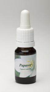 Star Remedies Papaver
