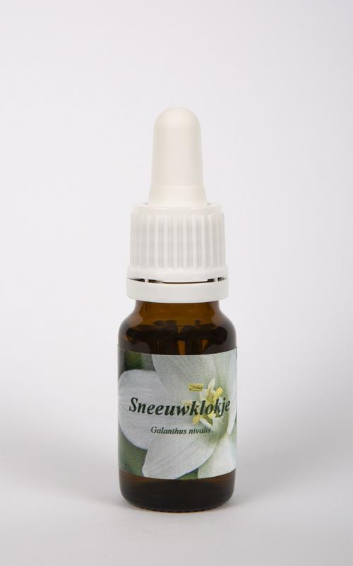 Star Remedies Sneeuwklokje