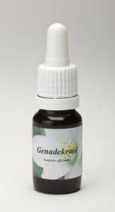Star Remedies Genadekruid