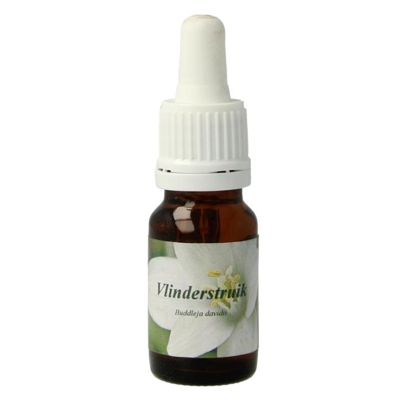 Star Remedies Vlinderstruik