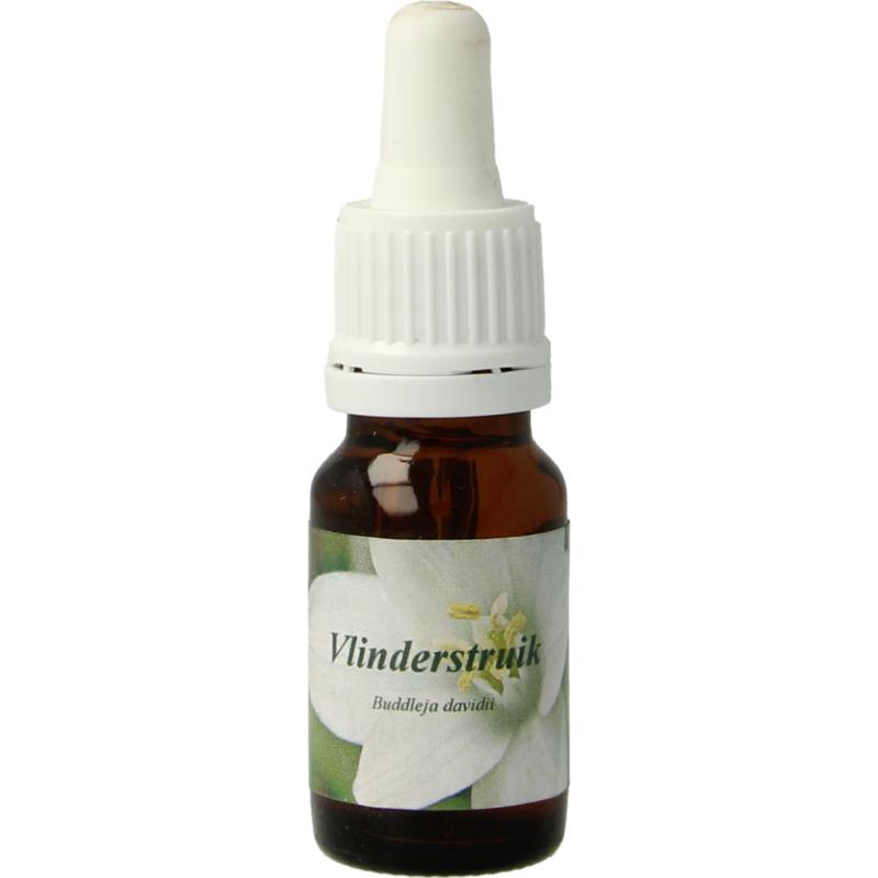 Star Remedies Vlinderstruik