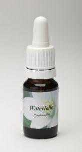 Star Remedies Waterlelie