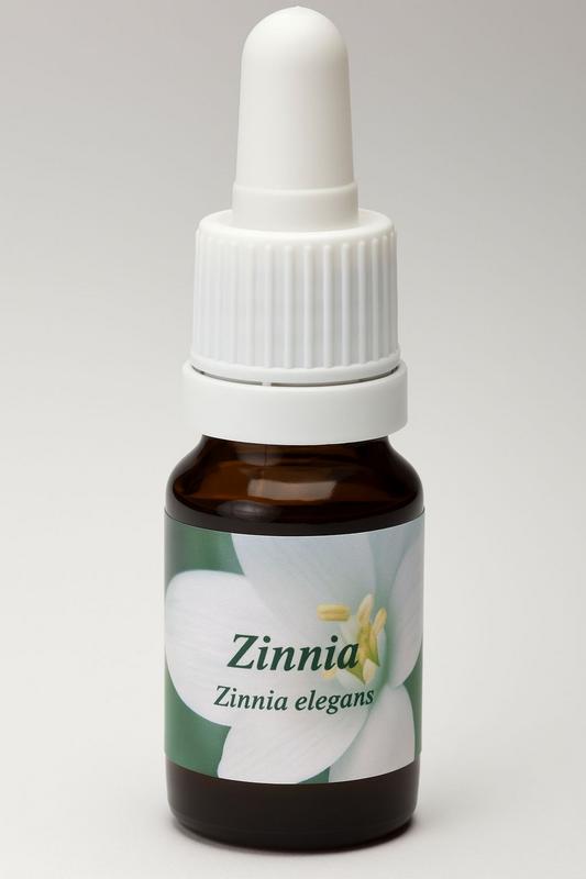 Star Remedies Zinnia