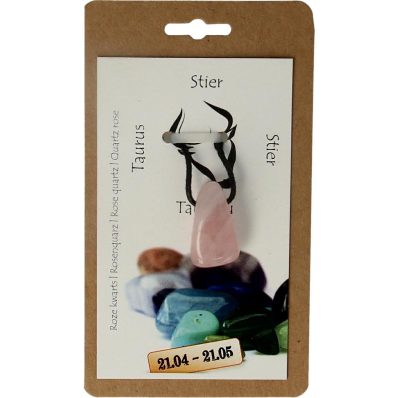 Steengoed Sterrenbeeldsteen Hanger Stier