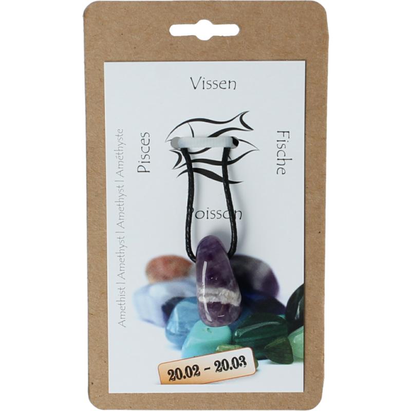 Steengoed Sterrenbeeldsteen Hanger Vissen