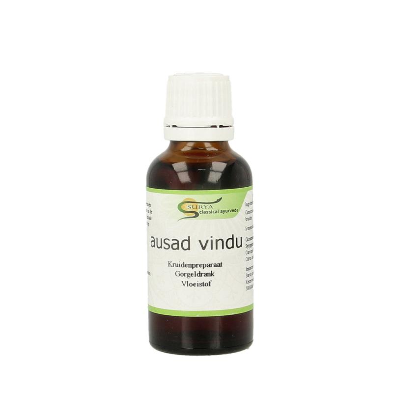 Surya Ausad Vindu