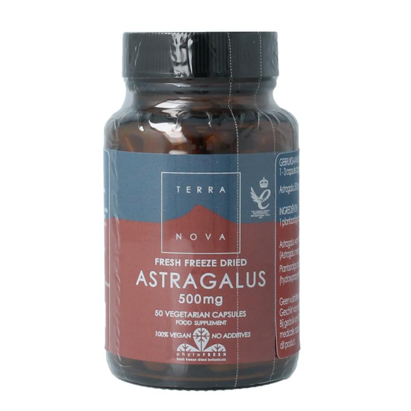 Terranova Astragalus 500Mg