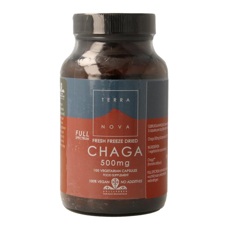 Terranova Chaga 500Mg