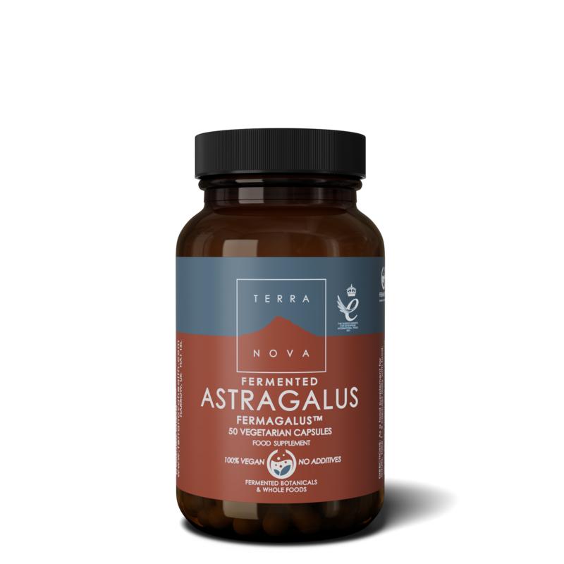 Terranova Fermented Astragalus Fermagalus