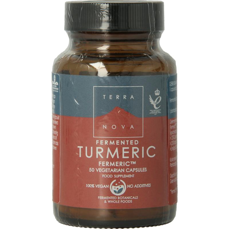 Terranova Fermented Turmeric 350Mg