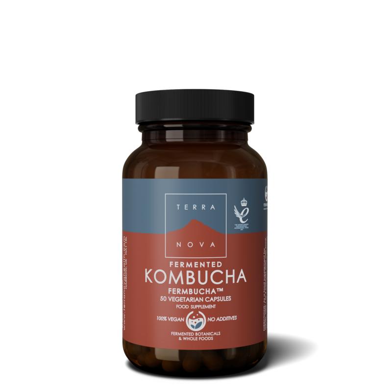 Terranova Gefermenteerde Kombucha- Fermbucha