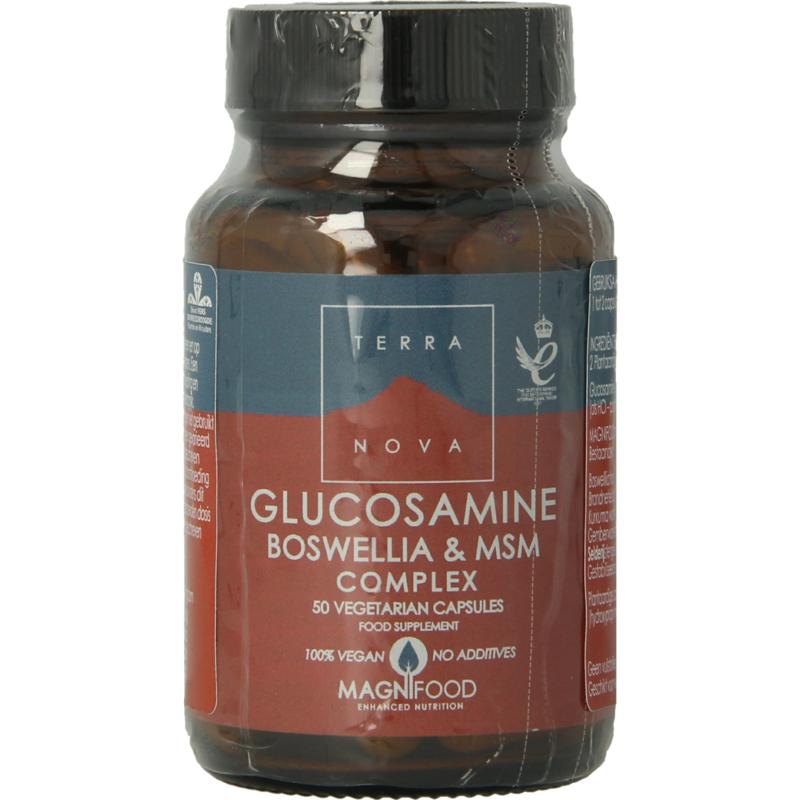 Terranova Glucosamine Boswellia & Msm Complex
