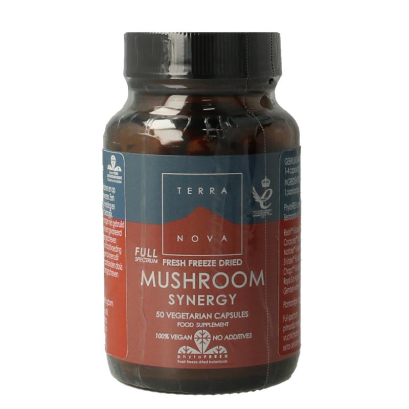 Terranova Mushroom Synergy Complex