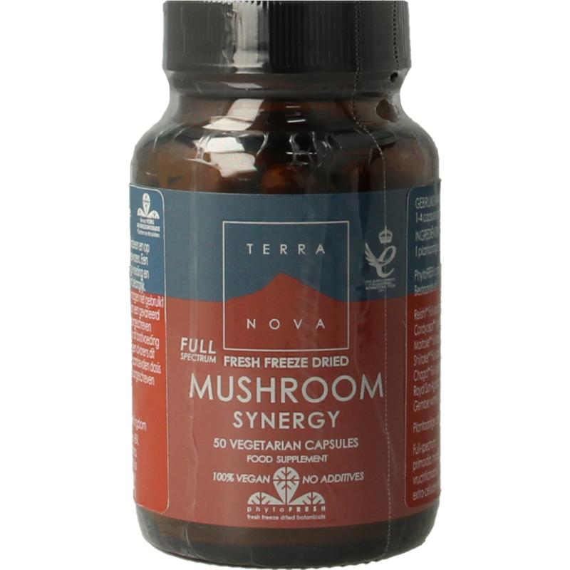 Terranova Mushroom Synergy Complex