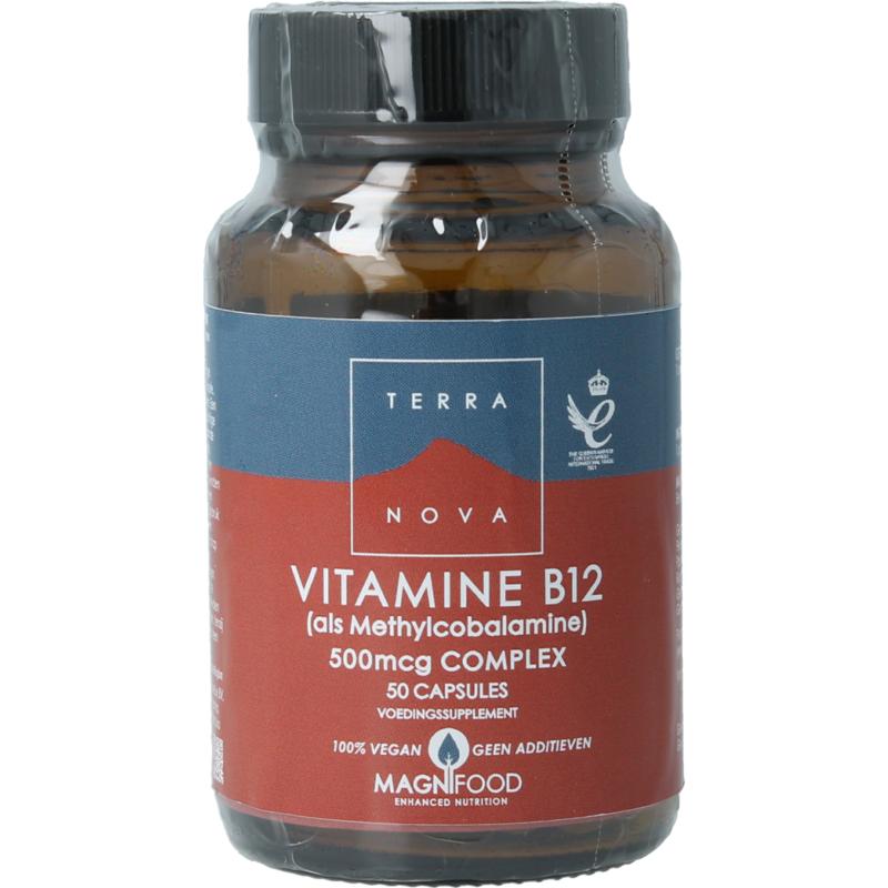 Terranova Vitamine B12 500Mcg Methylcobalamine