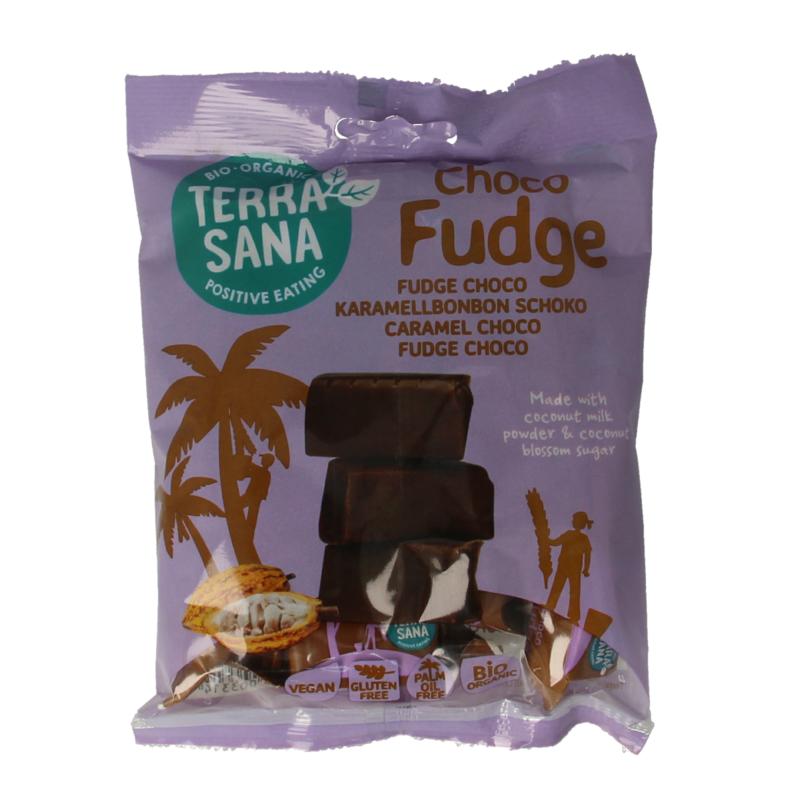 Terrasana Fudge Chocolade Bio