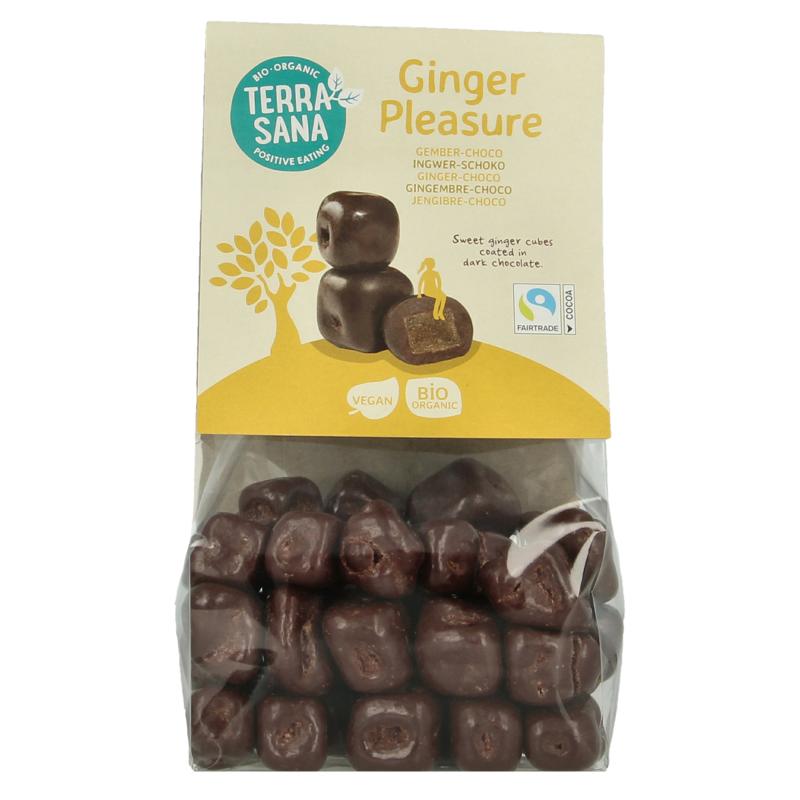 Terrasana Ginger Pleasure Choco Bio