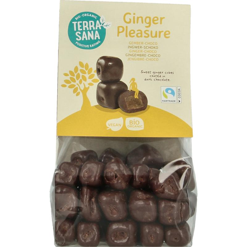 Terrasana Ginger Pleasure Choco Bio