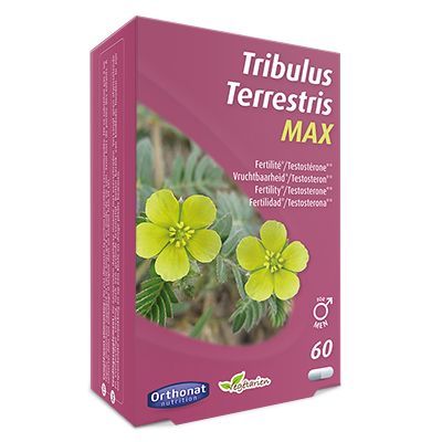 Orthonat Tribulus Terretris Max