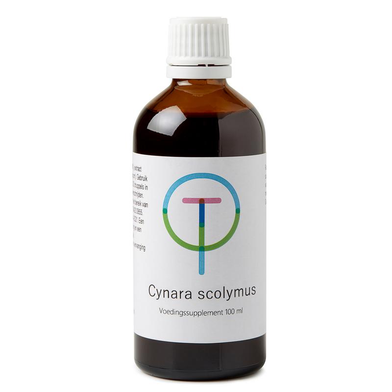 Cynara Scolymus Artisjok Therapeutenwinkel