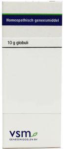 Vsm Lycopus Virginicus D12