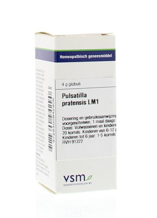 Vsm Pulsatilla Pratensis Lm1