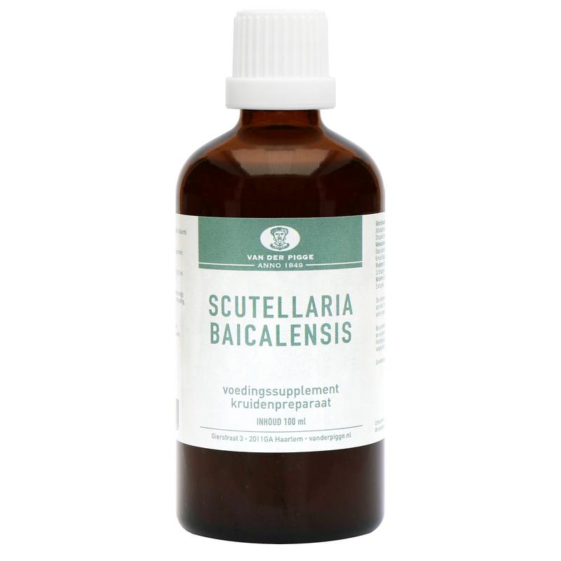 Van Der Pigge Scutellaria Baicelensis Tinctuur