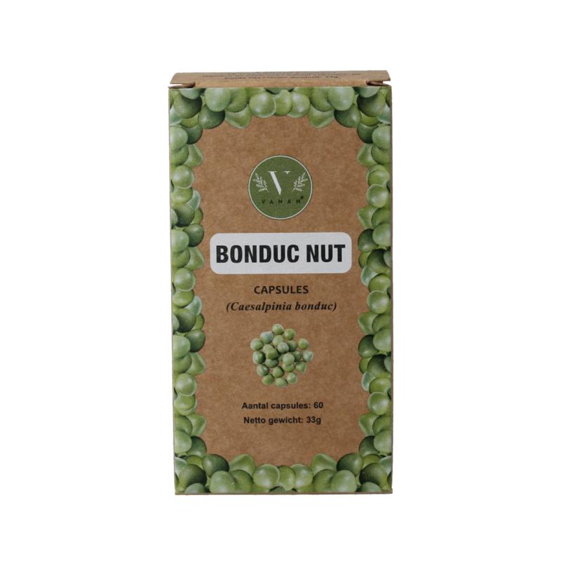 Vanan Bonduc Nut