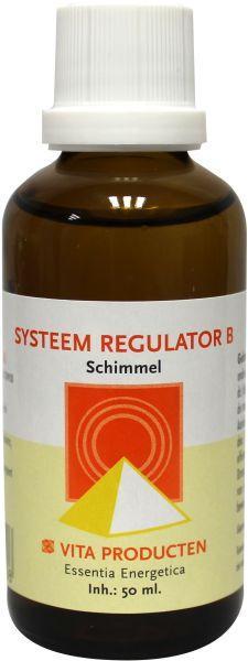 Vita Systeem Regulator B