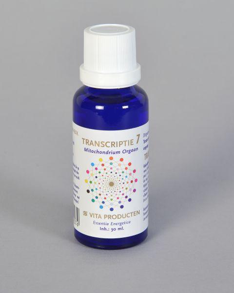 Vita Transcriptie 7 Mitochondrium Orgaan