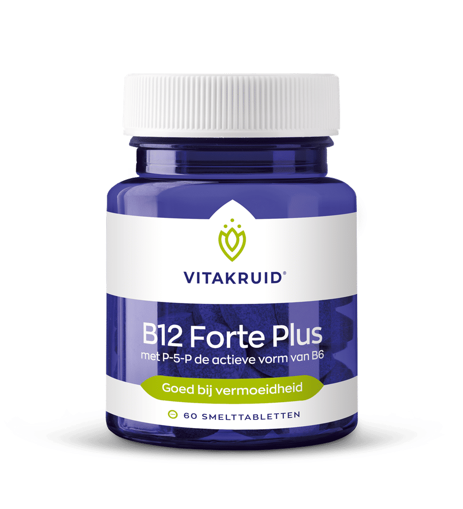 Vitakruid B12 Forte Plus 3.000 Met P-5-P