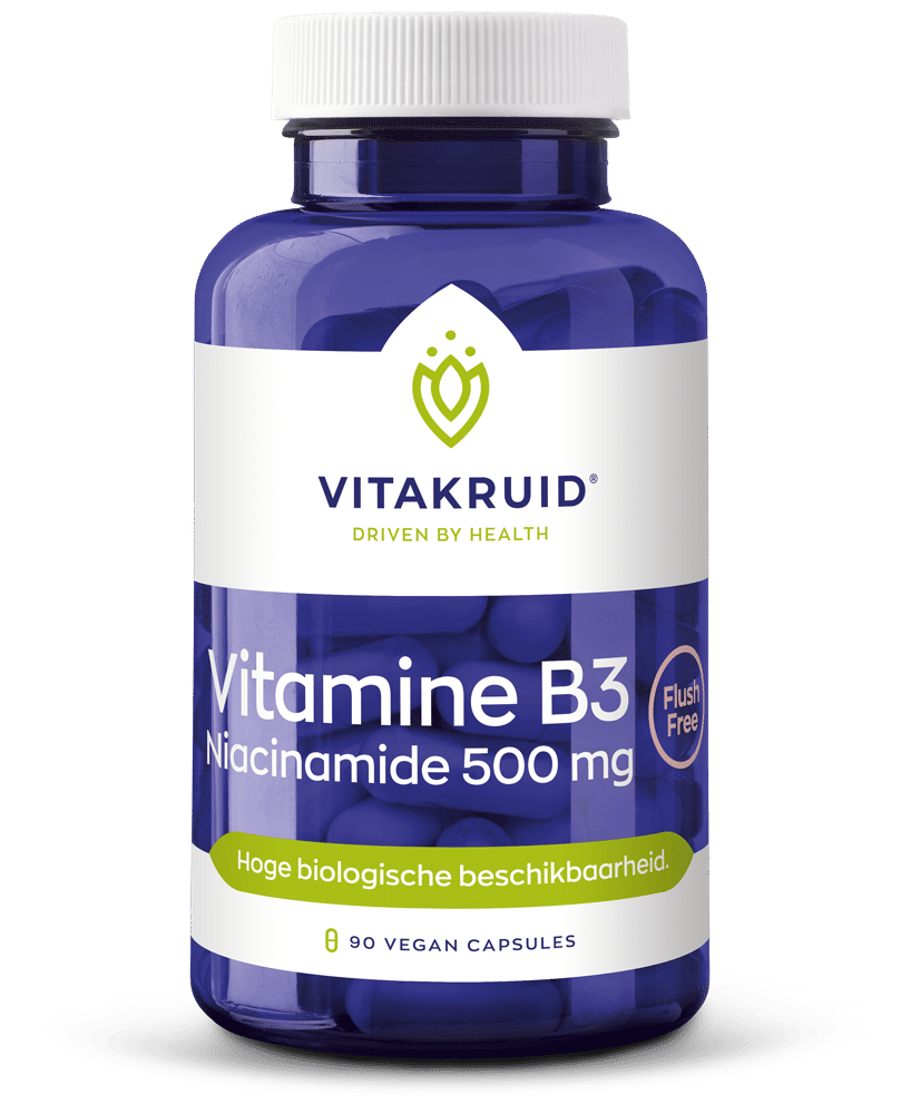 Vitakruid Vitamine B3 Niacinamide 500 Mg Flush Free