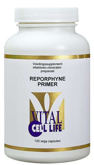 Vital Cell Life Reporphyne Primer