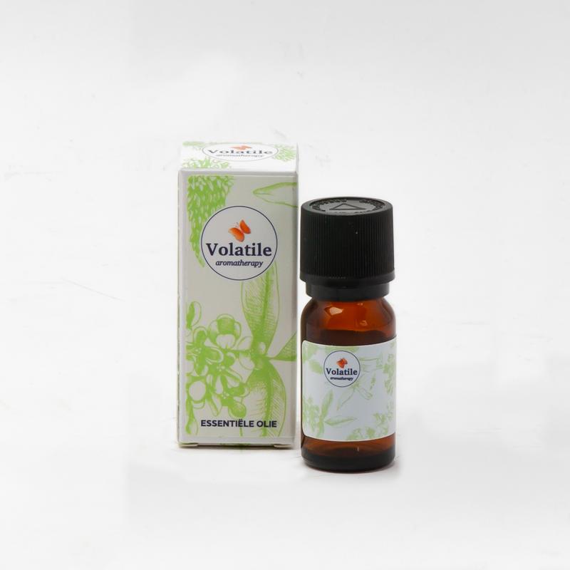 Volatile Arnica Co2-To