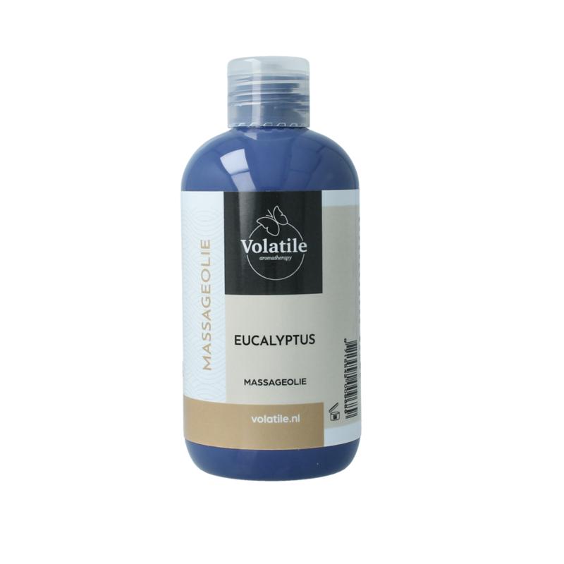 Volatile Massageolie Eucalyptus (Oslo)