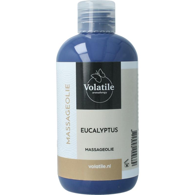 Volatile Massageolie Eucalyptus (Oslo)