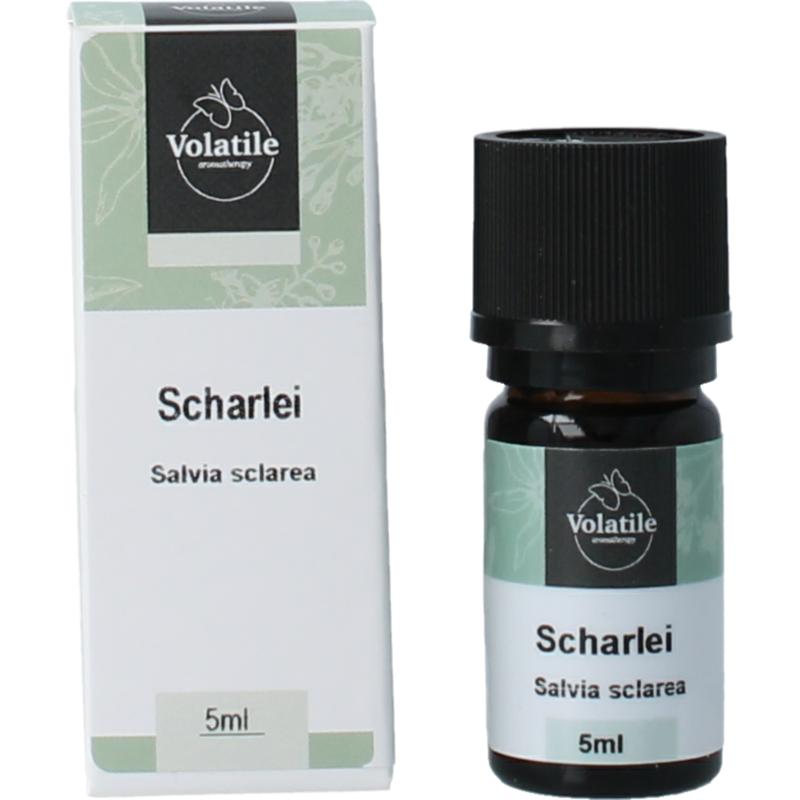 Volatile Scharlei