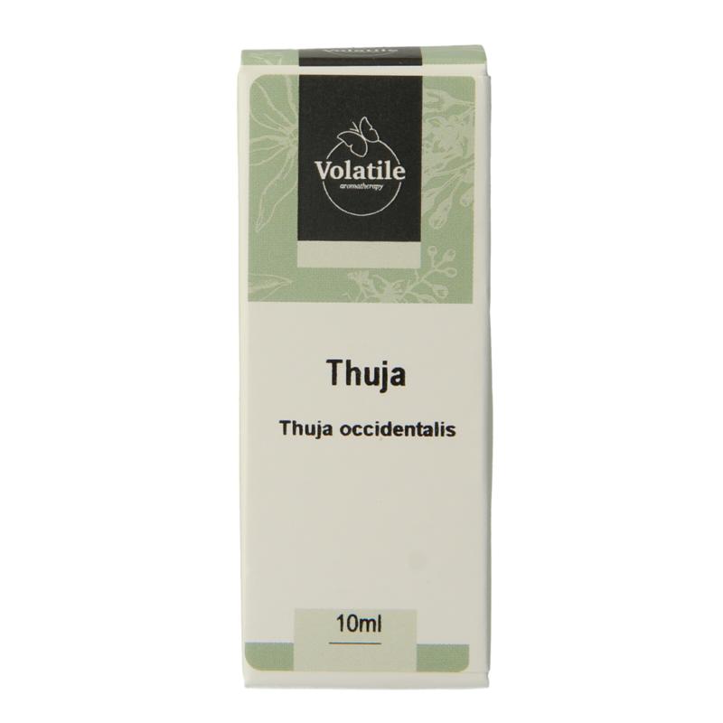 Volatile Thuja