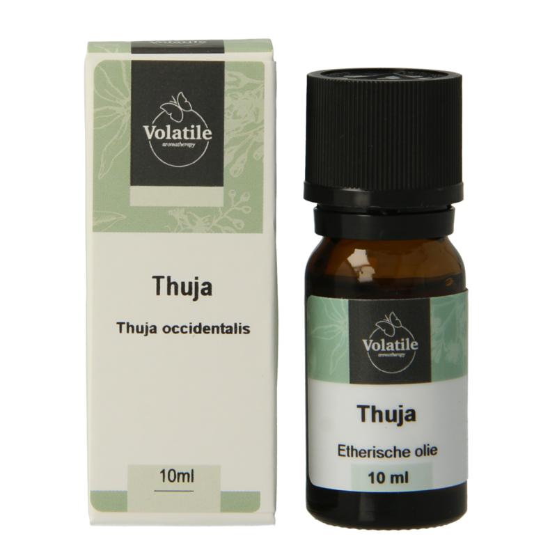 Volatile Thuja