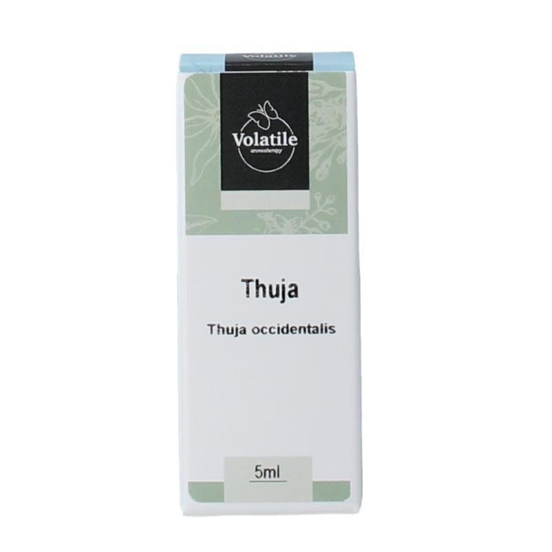 Volatile Thuja